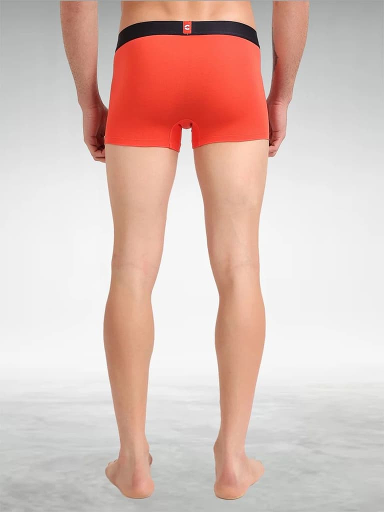 Men's Organic Cotton Trunks Pack of 1 — photo 5