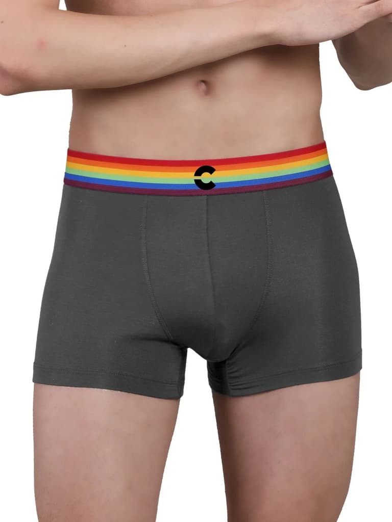 Pride Edition - Men's Anti-Bacterial Micro Modal Trunk (Pack of 1) — Grey / S