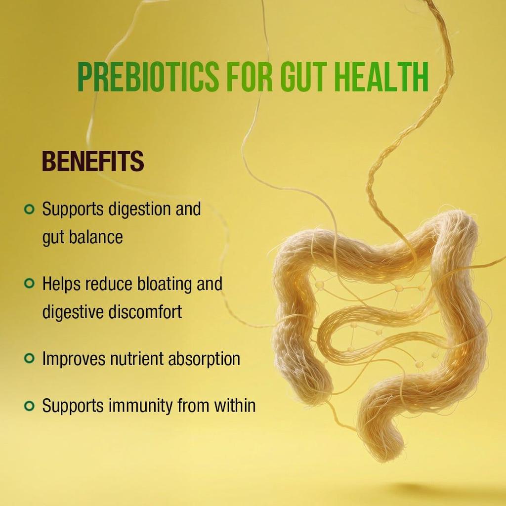 Gut Fine Probiotics & Prebiotics Effervescent Tablets Daily Digestive
