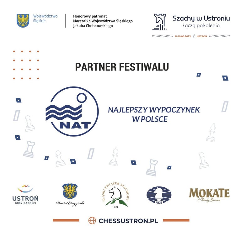 Partner Festiwalu NAT