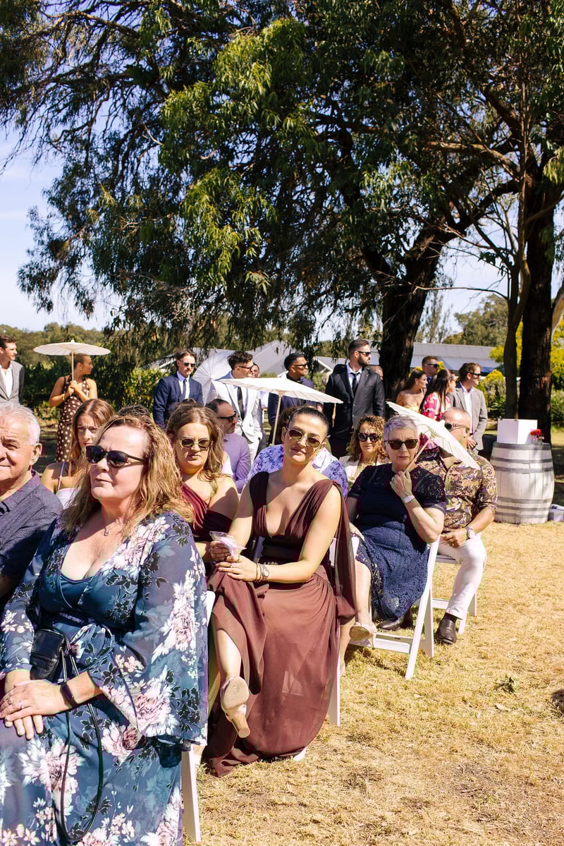 Kings Creek Vineyard305