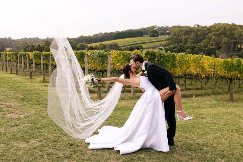 Montalto Winery Wedding501