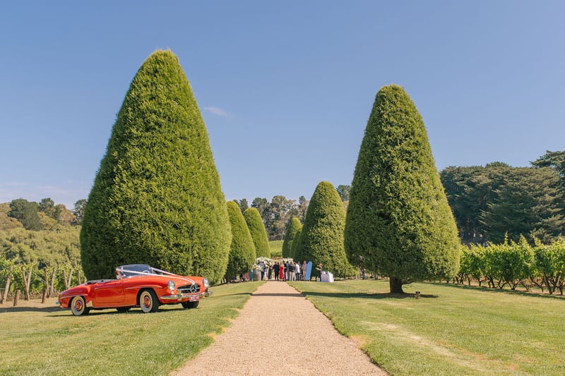 Wedding Photographer at Lancemore Lindenderry Red Hill Madeleine Josh203