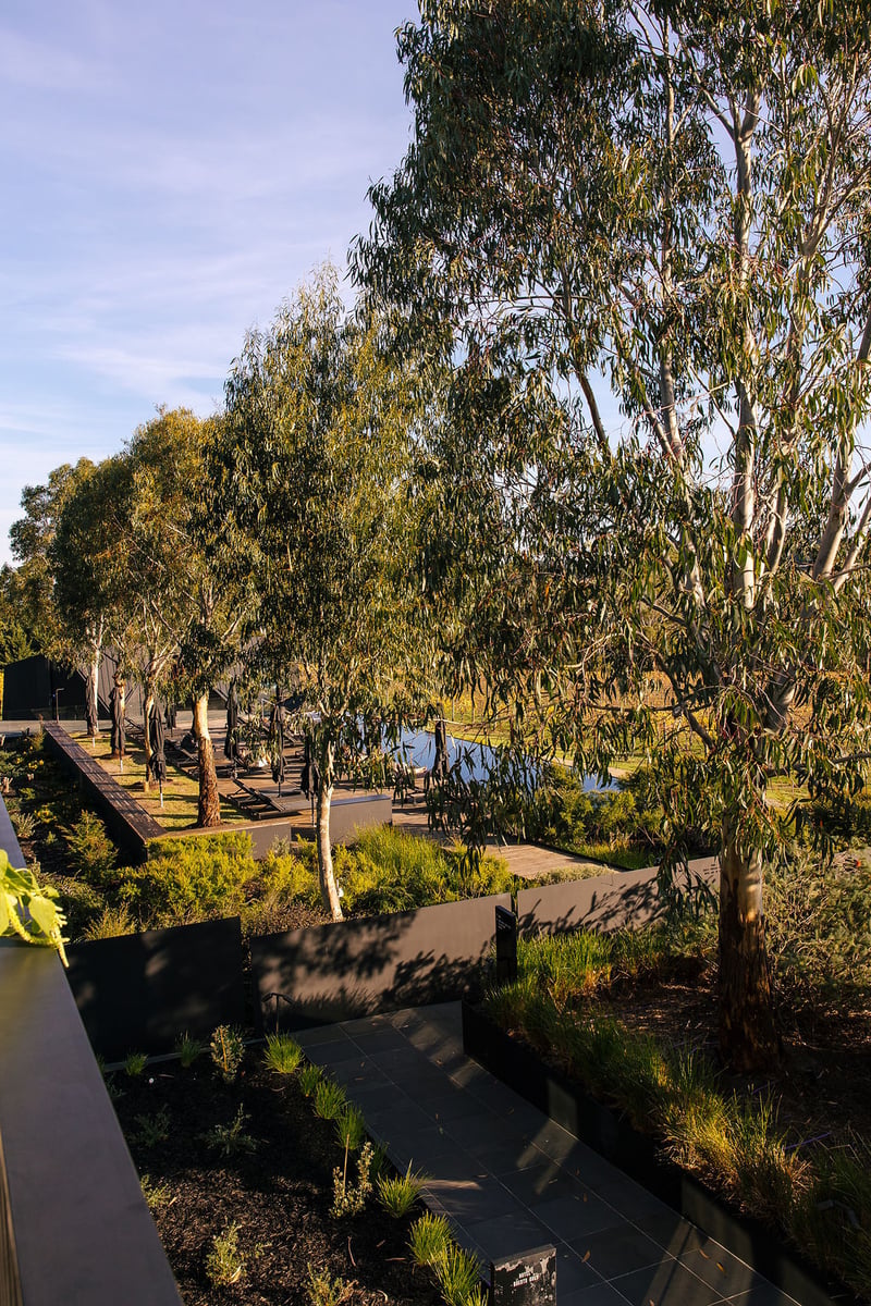 Jackalope Hotel Mornington Peninsula Wedding022