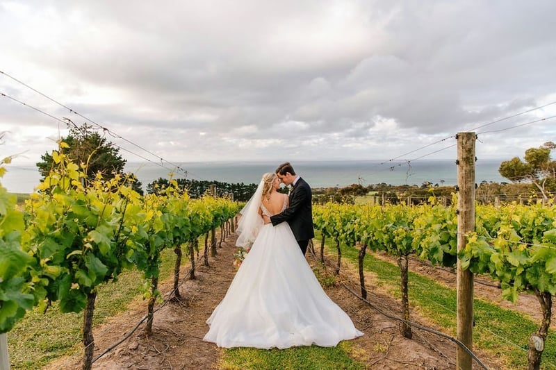 Jack-Rabbit-Vineyard-Wedding_0084.jpg