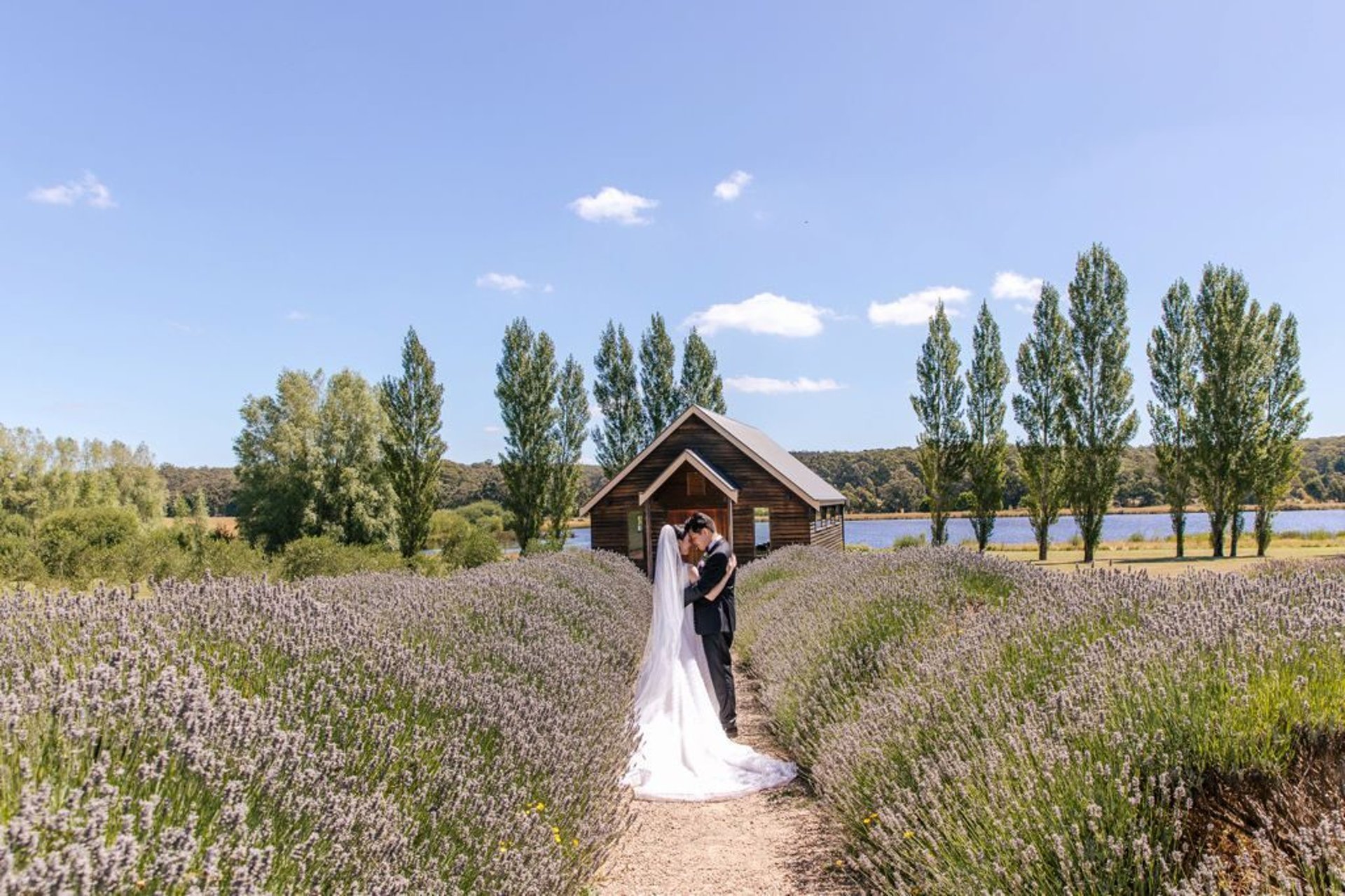 Sault-Restaurant-Daylesford-Wedding_0091.jpg