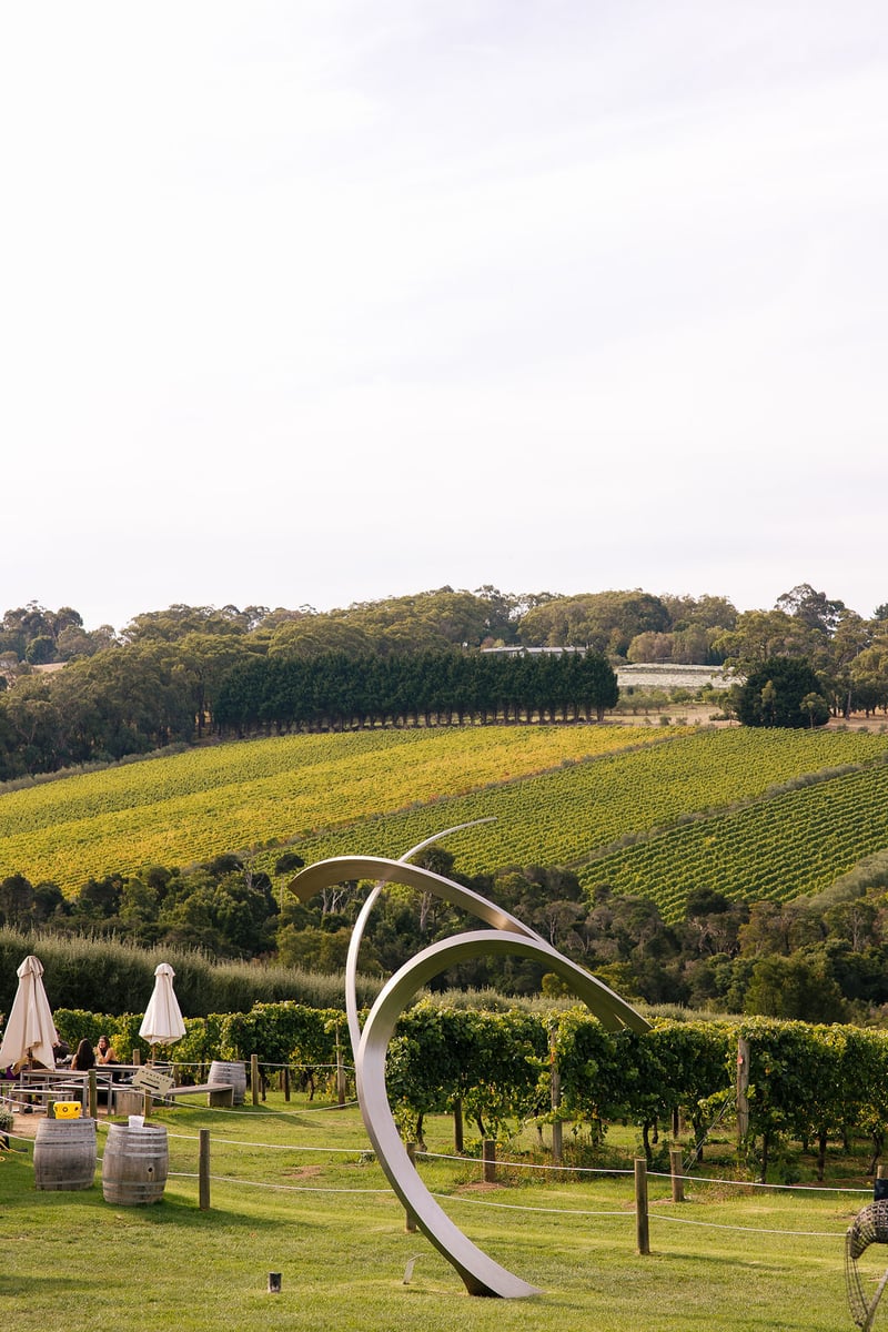 Montalto Winery Wedding190