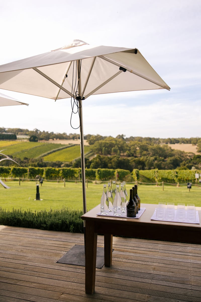 Montalto Winery Wedding186