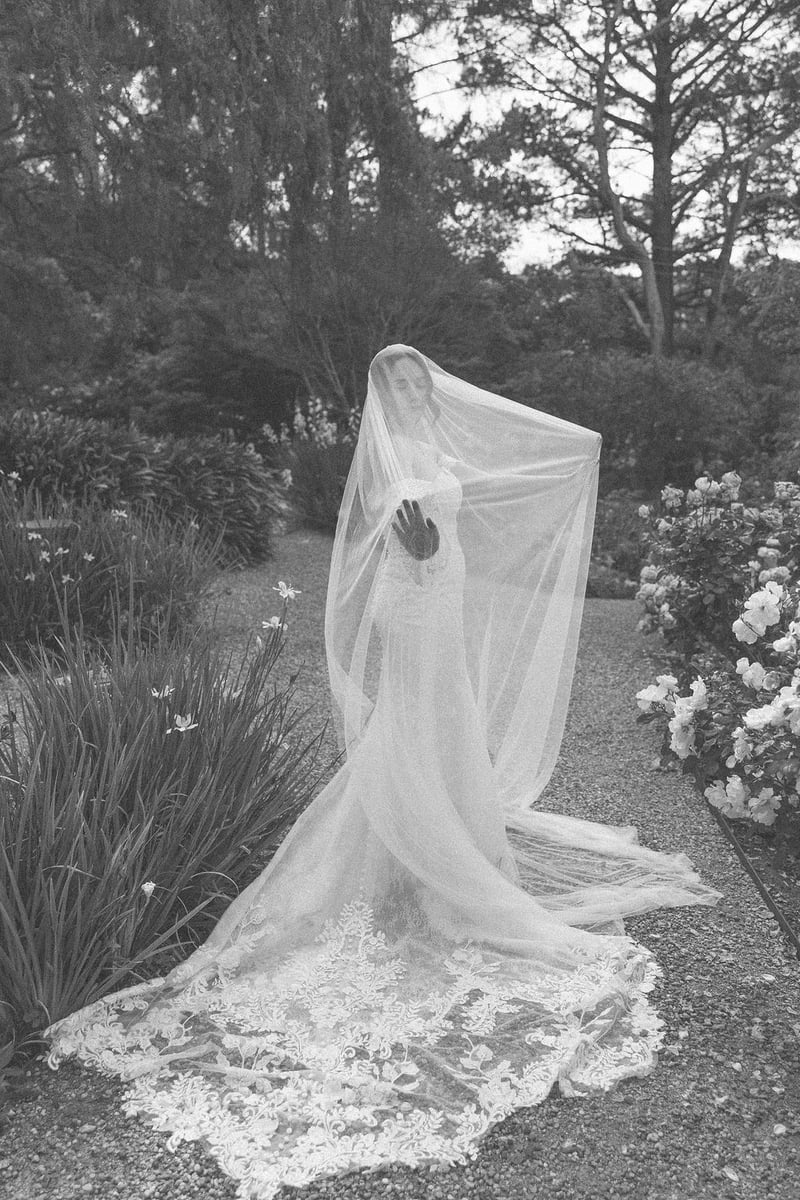 Butterfly Red Hill Wedding Photographer557