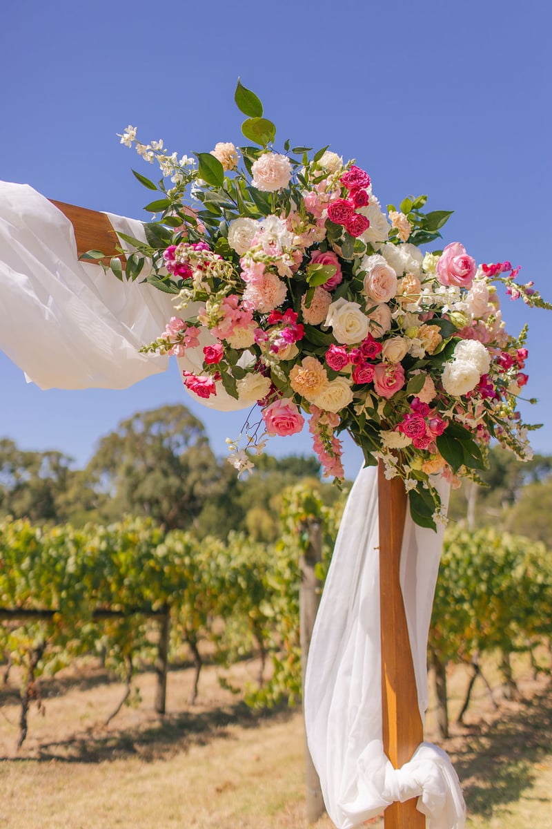 Kings Creek Vineyard245