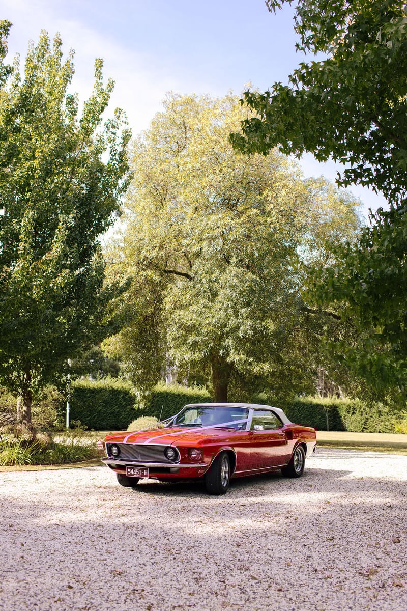 Montalto Winery Wedding049