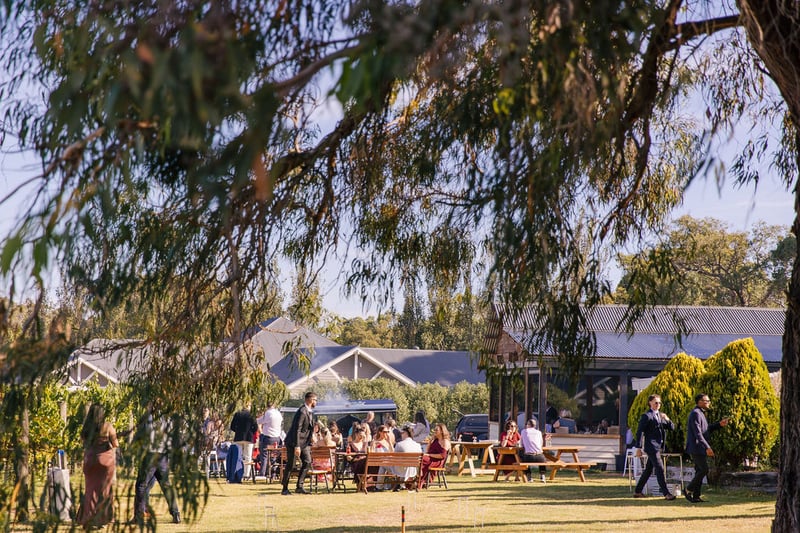 Kings Creek Vineyard705