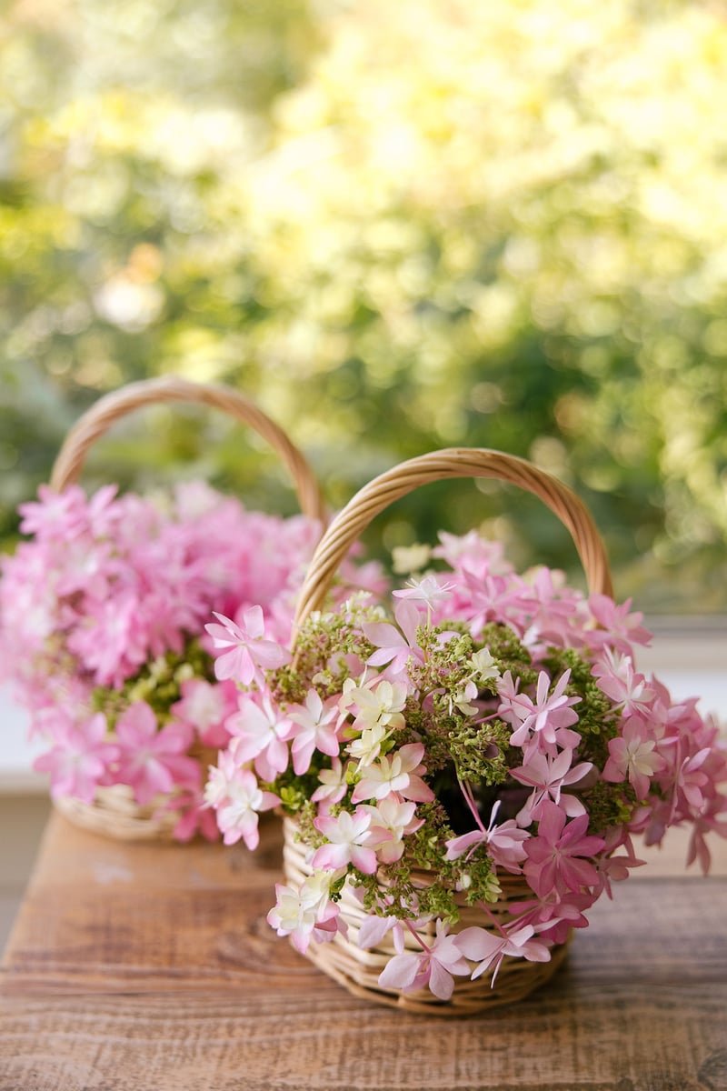 Butterfly Red Hill Wedding Photographer153