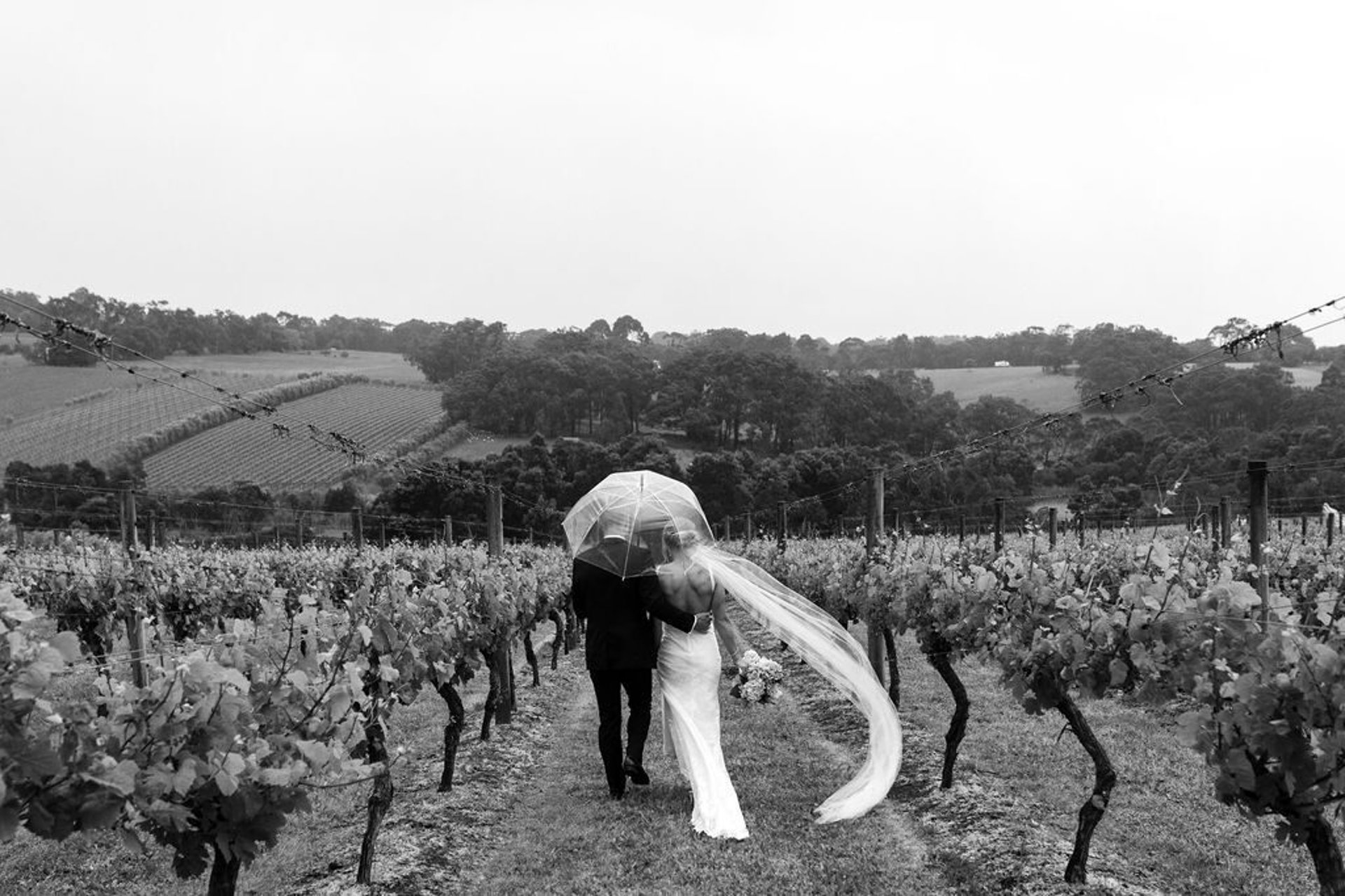 Montalto-Red-Hill-Wedding_0063.jpg