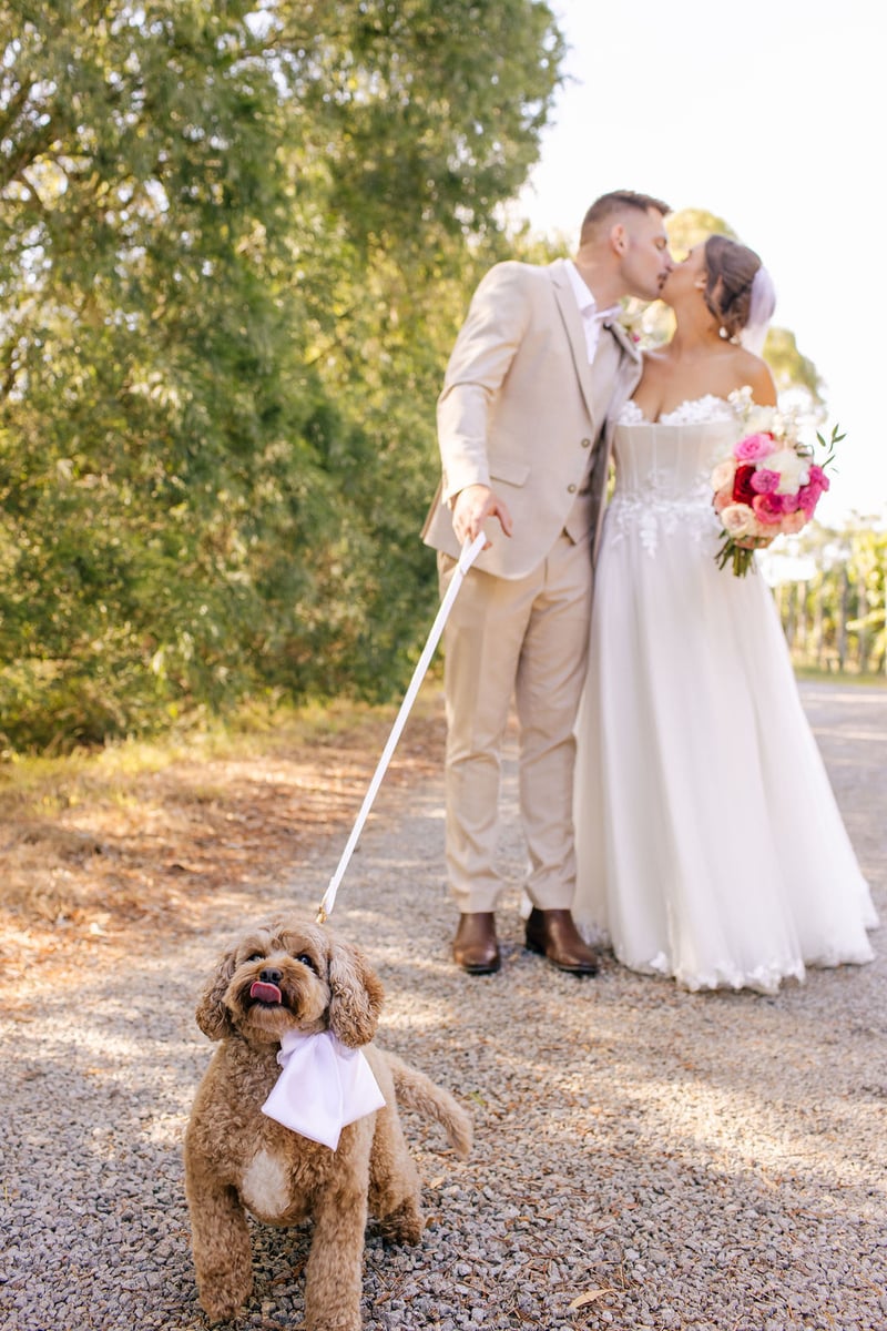 Kings Creek Vineyard623