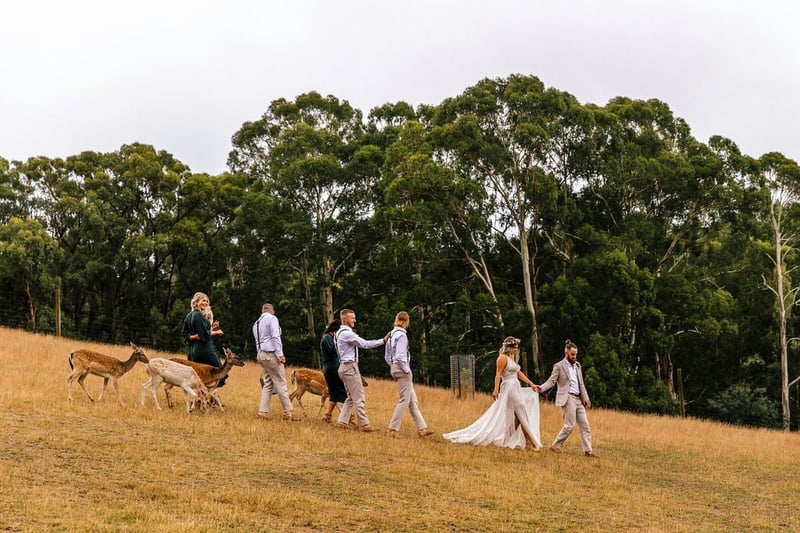 Gum-Gully-Farm-Wedding_0072.jpg