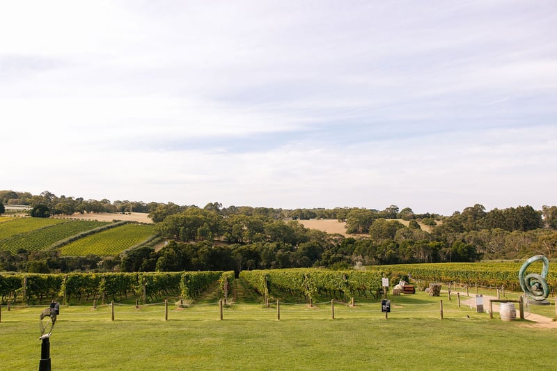 Montalto Winery Wedding192