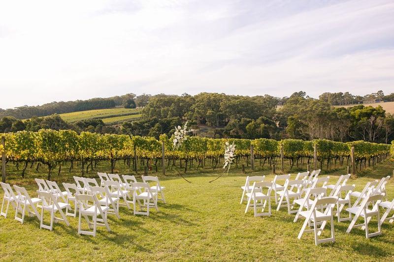 Montalto Winery Wedding205