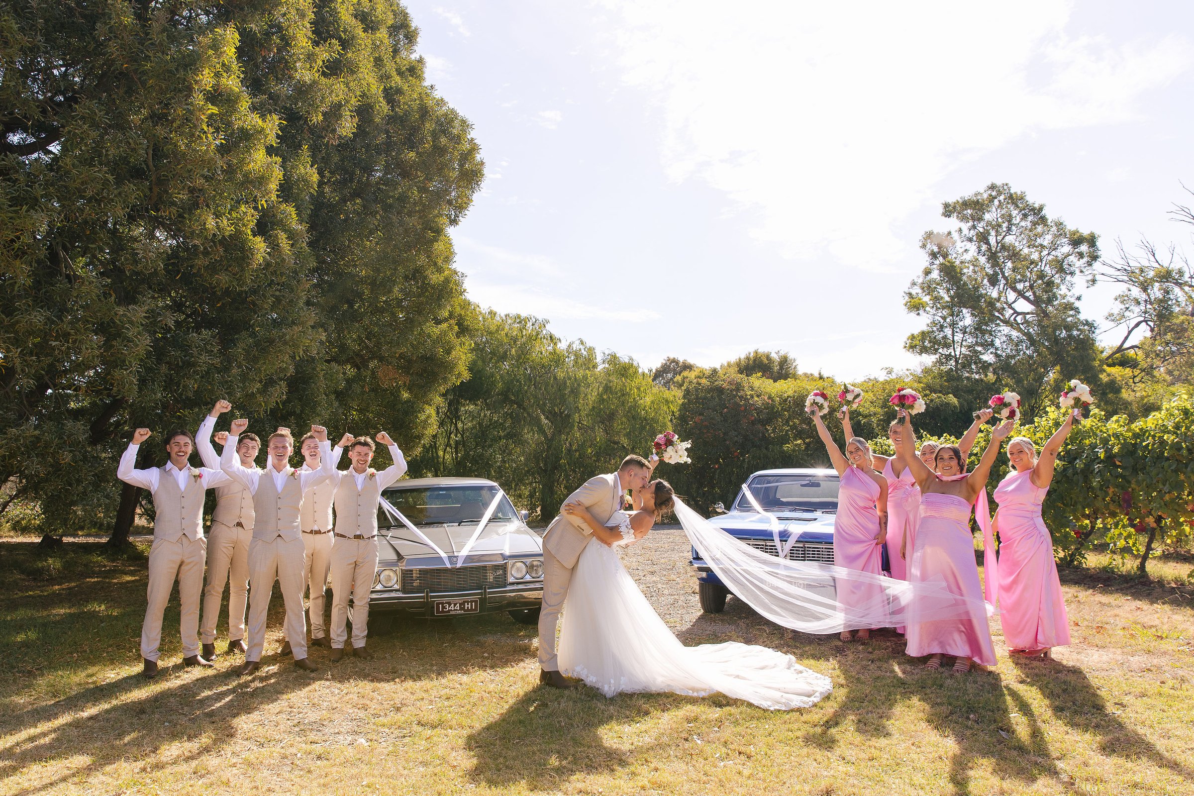 Kings Creek Vineyard Cover