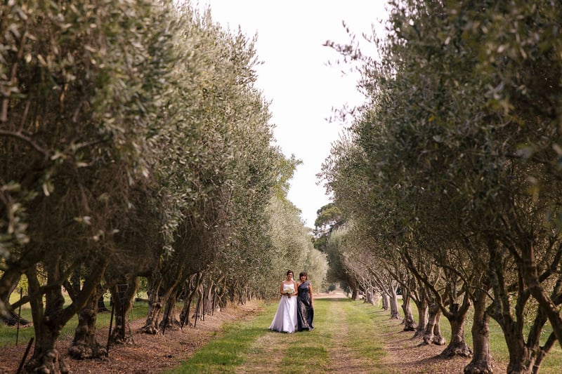 Montalto Winery Wedding271