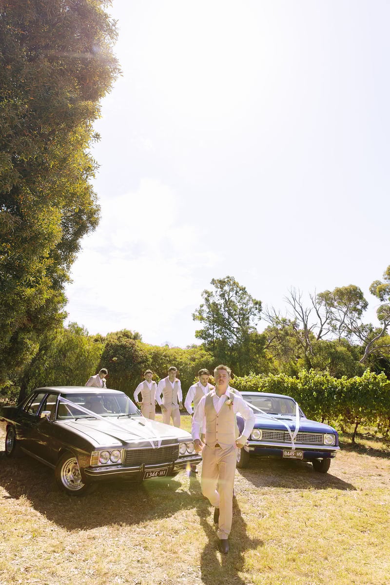 Kings Creek Vineyard326