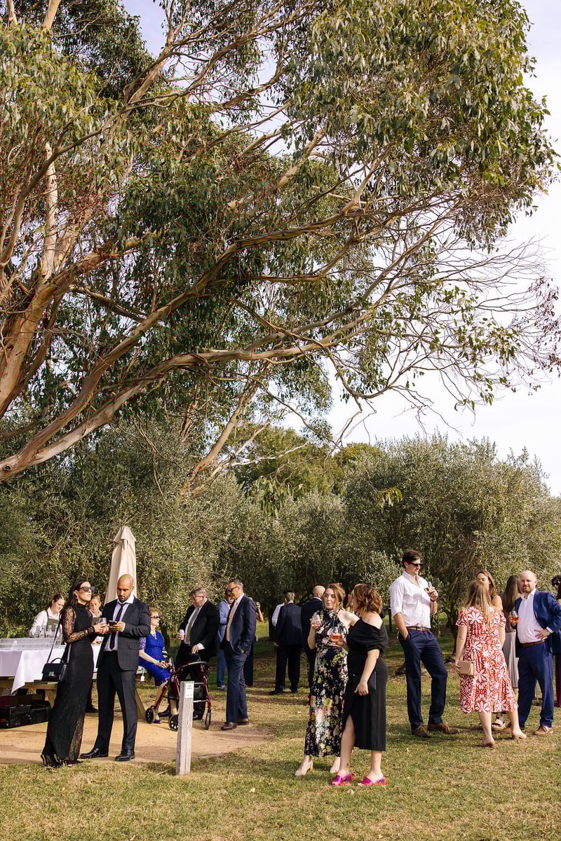 Montalto Winery Wedding225