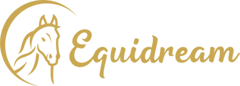 Equidream logo, an Efficient Marketing client
