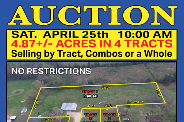 Multi-Purpose Auction Property