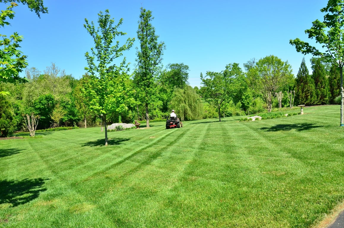 lawn mowing service