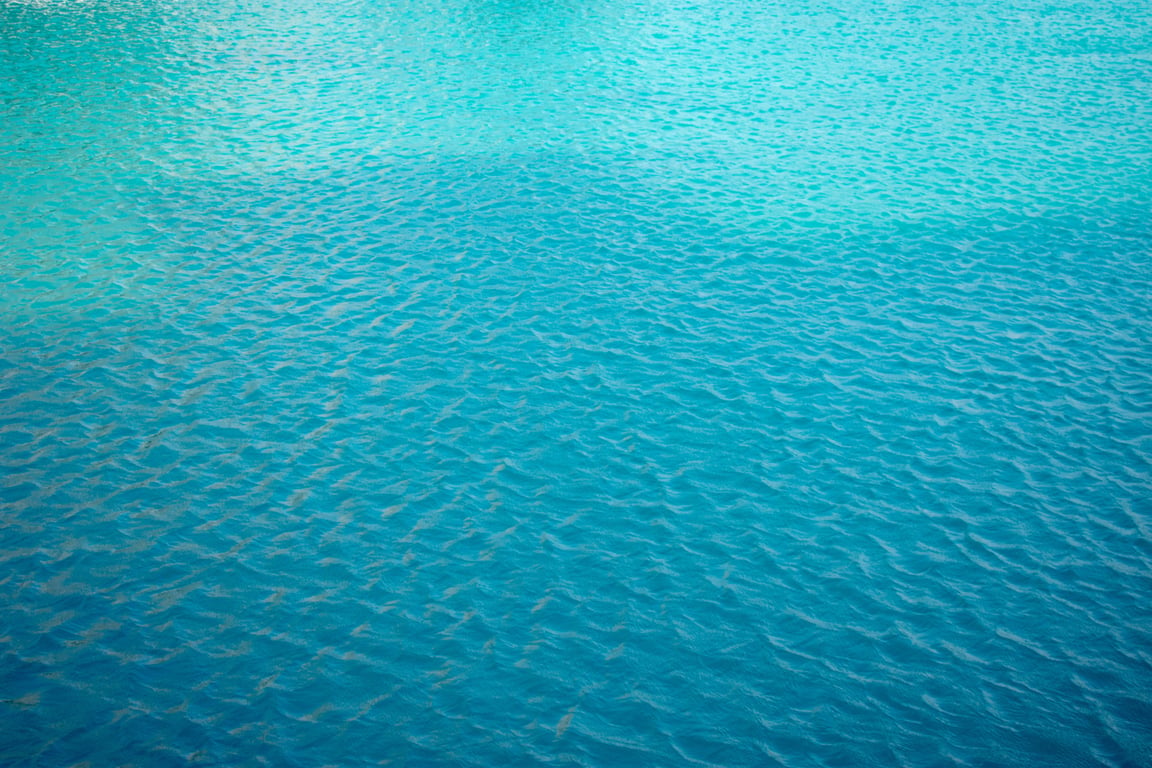swim spa