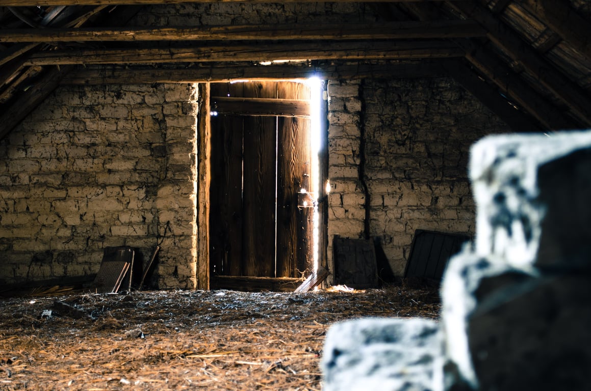 rat inspection attic