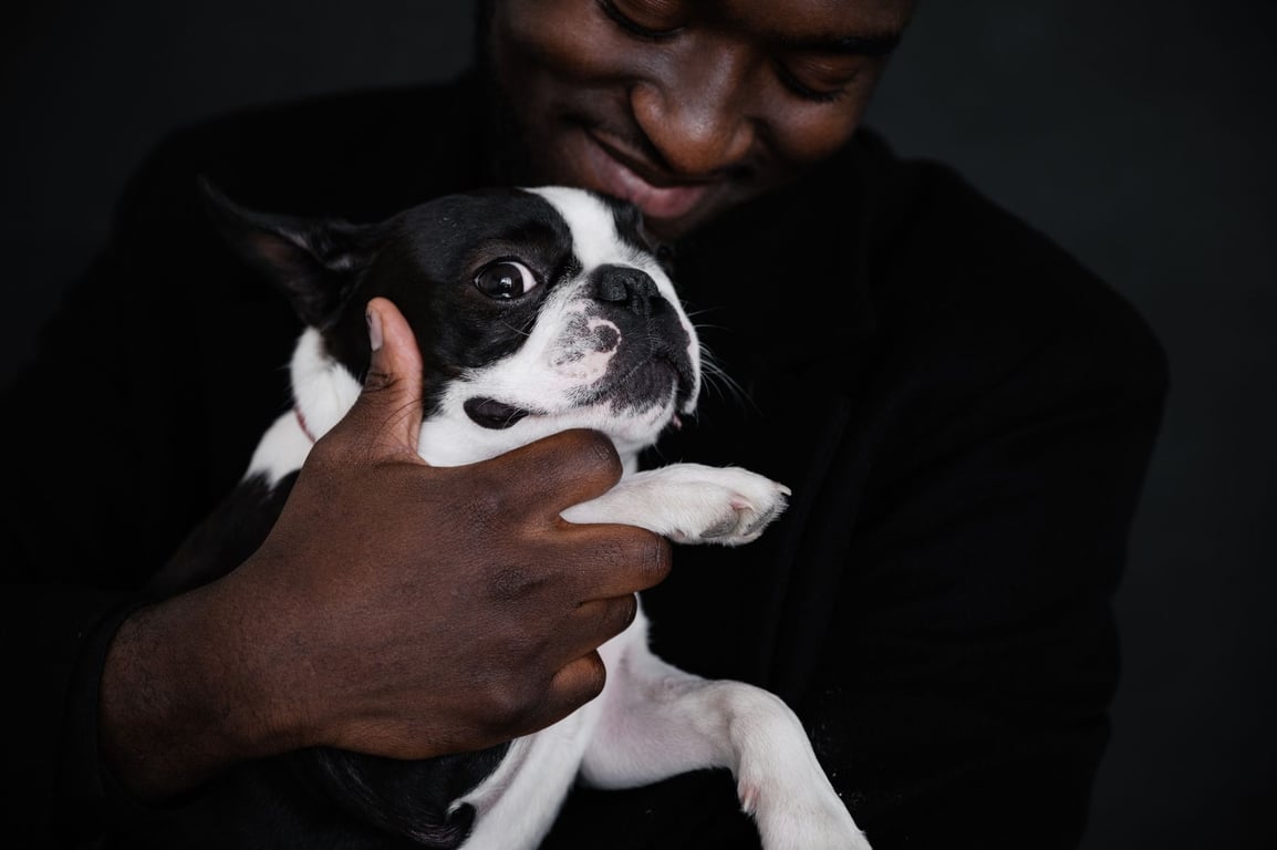 ASPCA Insurance: What Pet Owners Should Compare Before Choosing a Plan