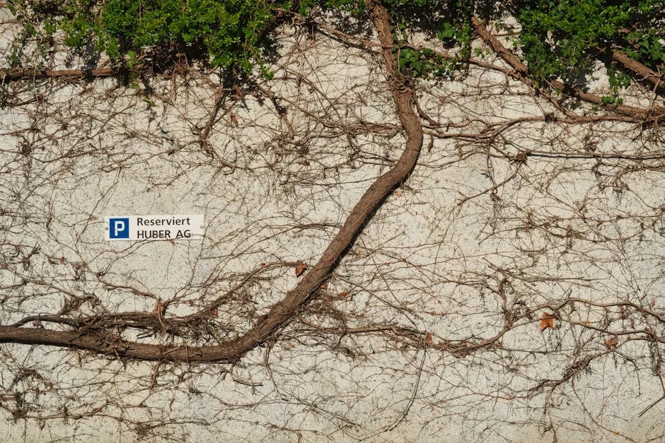 Image describing Chase Reserve vs Amex Platinum Best Pick in 2026?