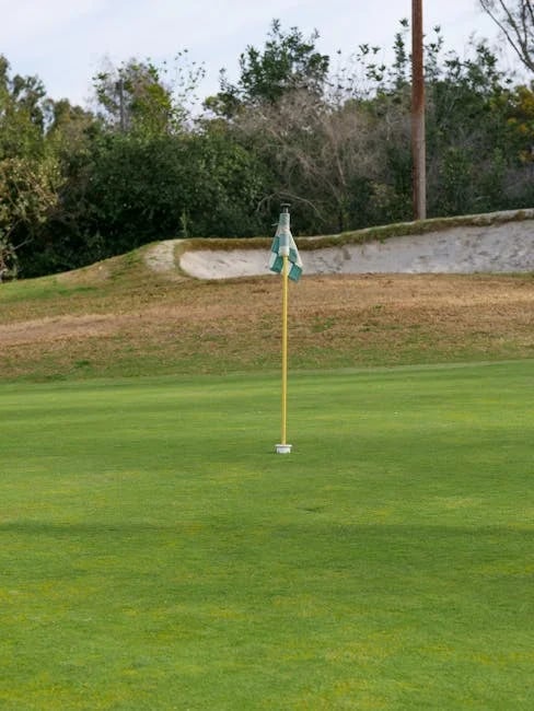 Image describing Top 7 Proven Tips for Encinitas Ranch Golf in 2026?