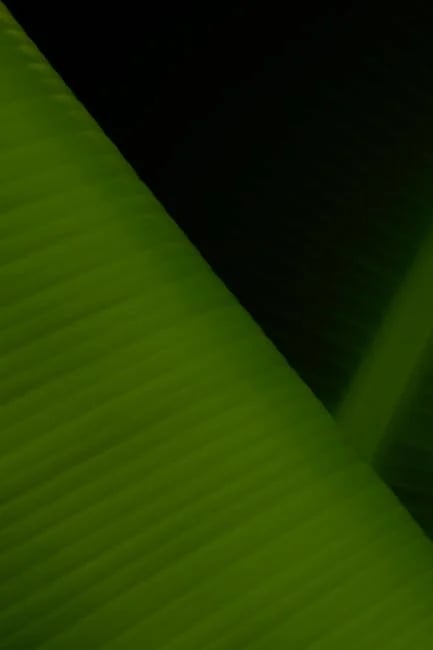 Image describing How to Submit a PSLF Application Fast in 2026 (7 Steps)