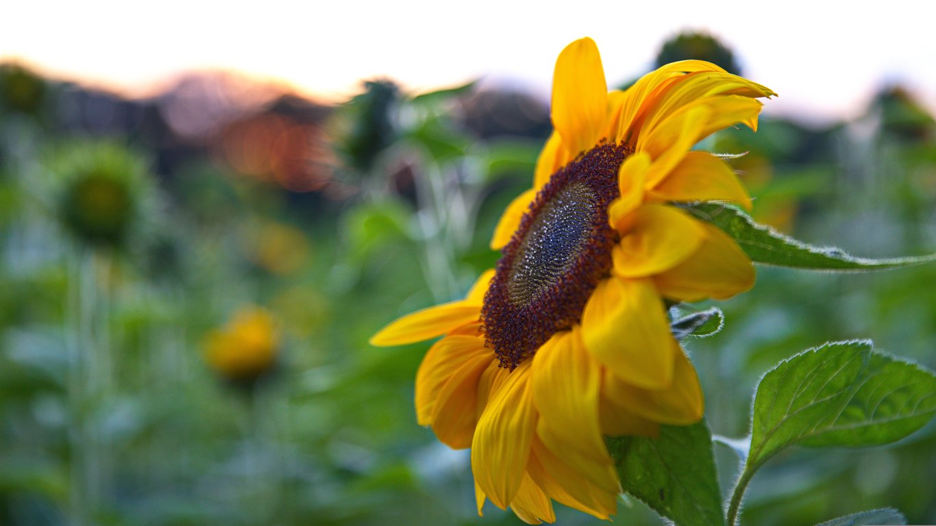 HVAC Efficiency Starts With the Whole System, Not Just the Equipment