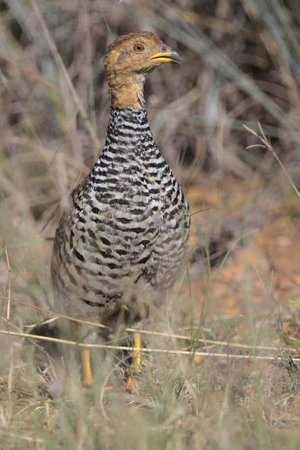 Image describing Best Delta Airline Credit Card 2026 Fast Proven Picks?