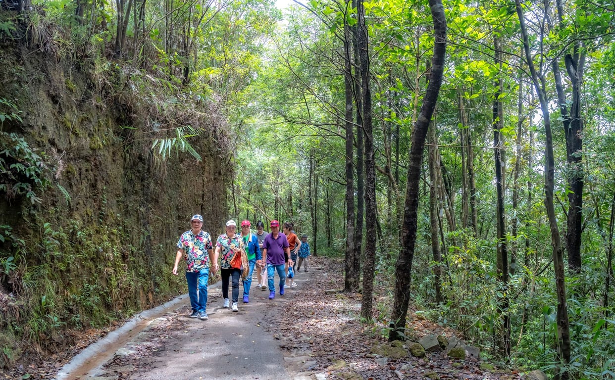 Walking Groups Near Me: How to Find Safe, Welcoming Local Walks