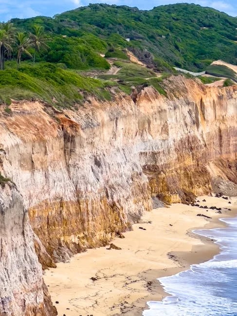 Image describing Top 7 Fast RN to MSN Programs in 2026 Best Picks?