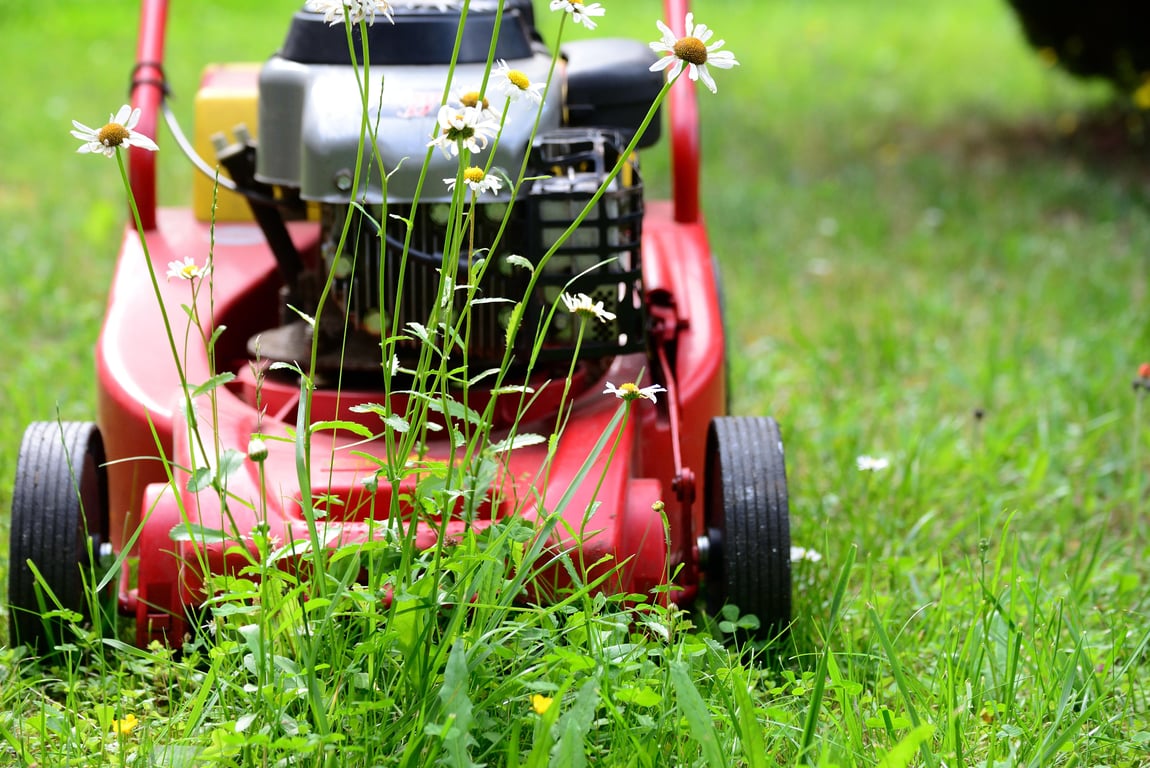 lawn mowing service