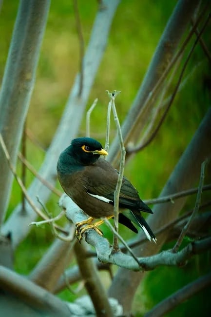 Image describing Top 7 Common Core Math Hacks You Need Now!