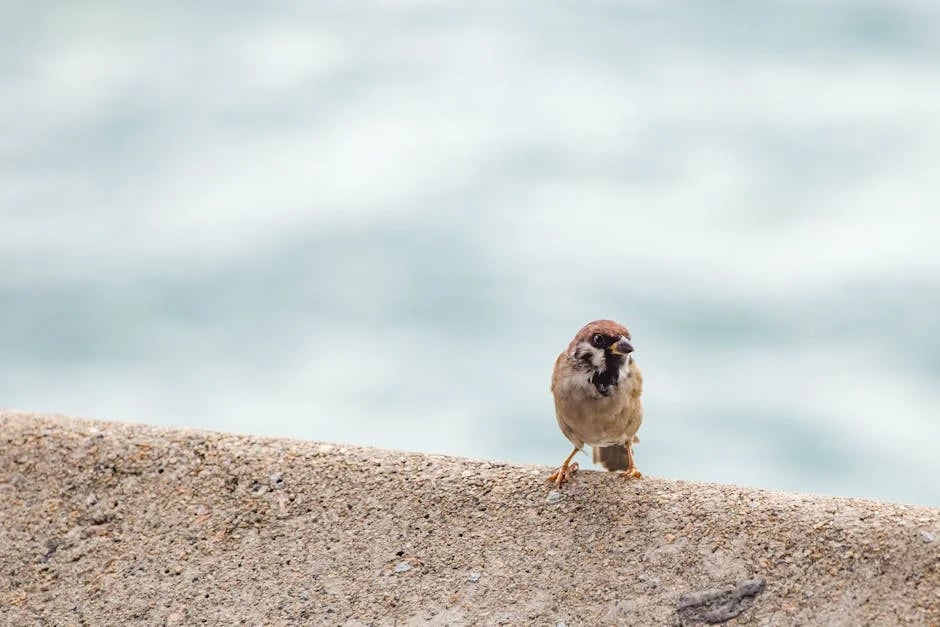 Image describing Top 10 Tweets That Will Go Viral in 2025—Guaranteed!