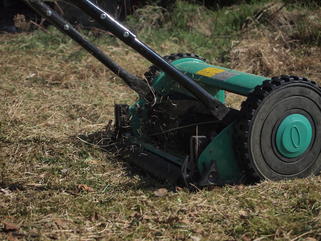lawn mowing service