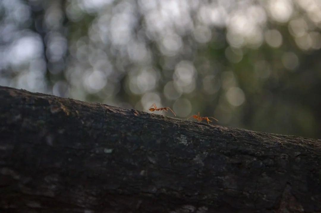 Image describing How to Master API Abroad Top Tips for 2025 Success