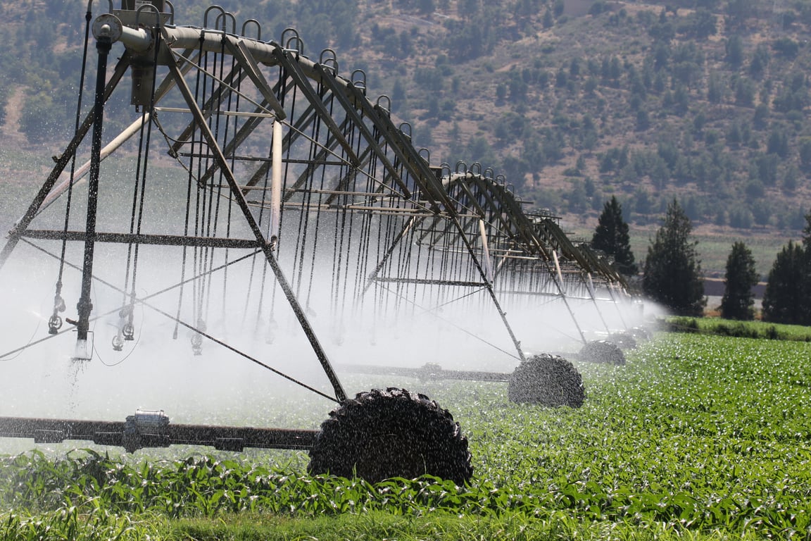 drought-tolerant garden irrigation