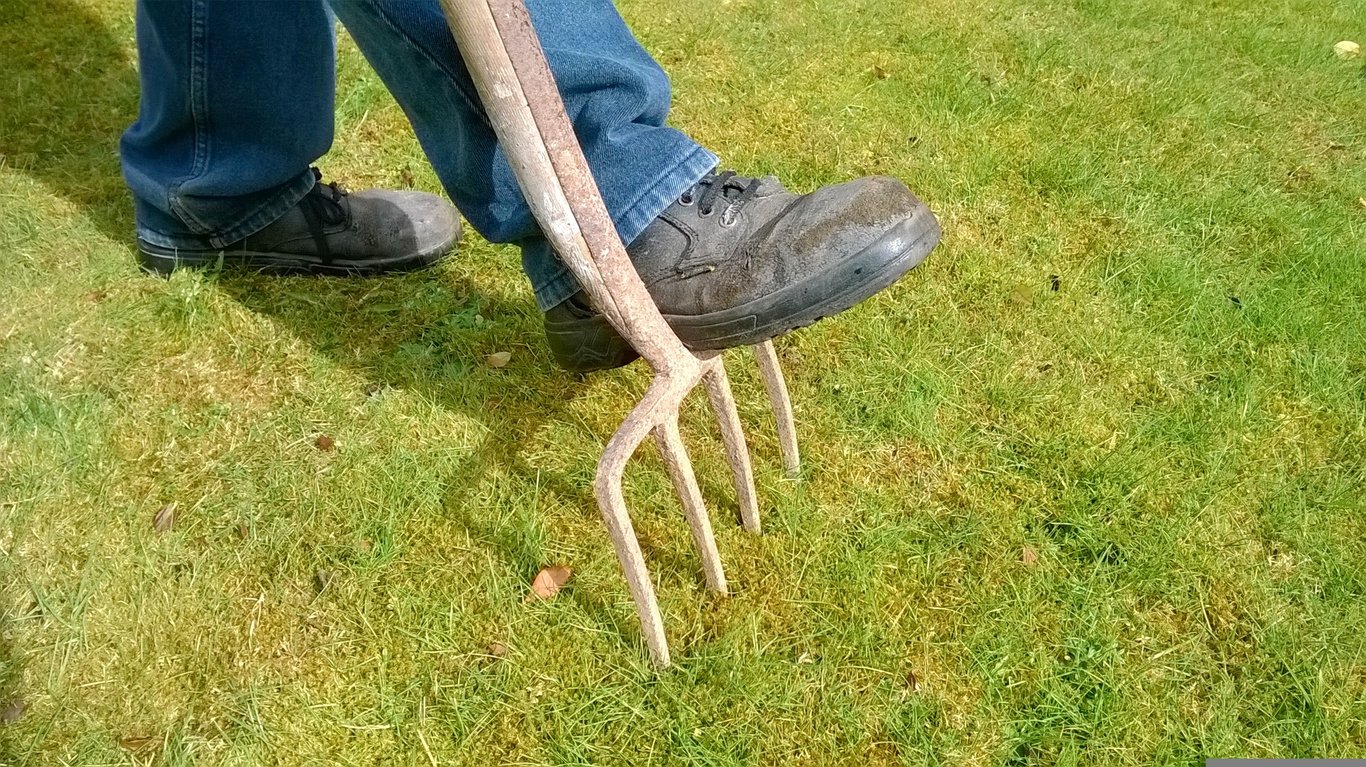 lawn aeration