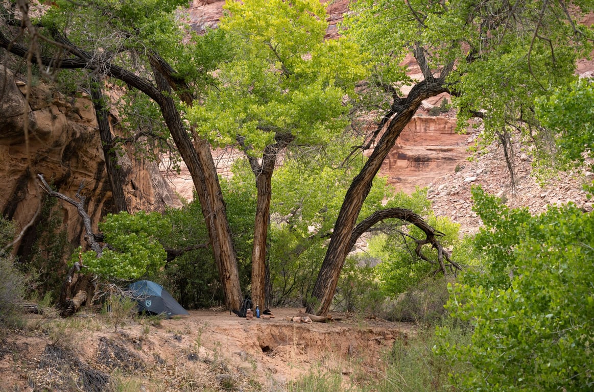 REI Camping Checklist: The Gear You Need Before You Leave Campground Comfort Behind