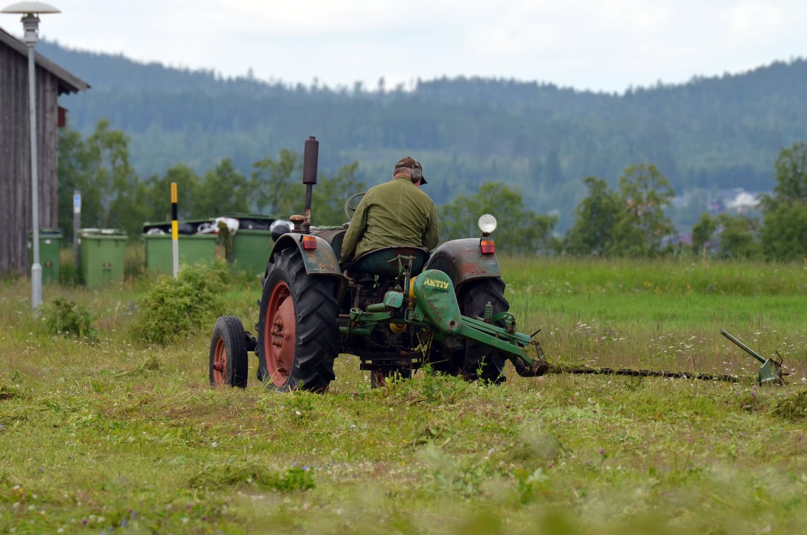 lawn mowing service