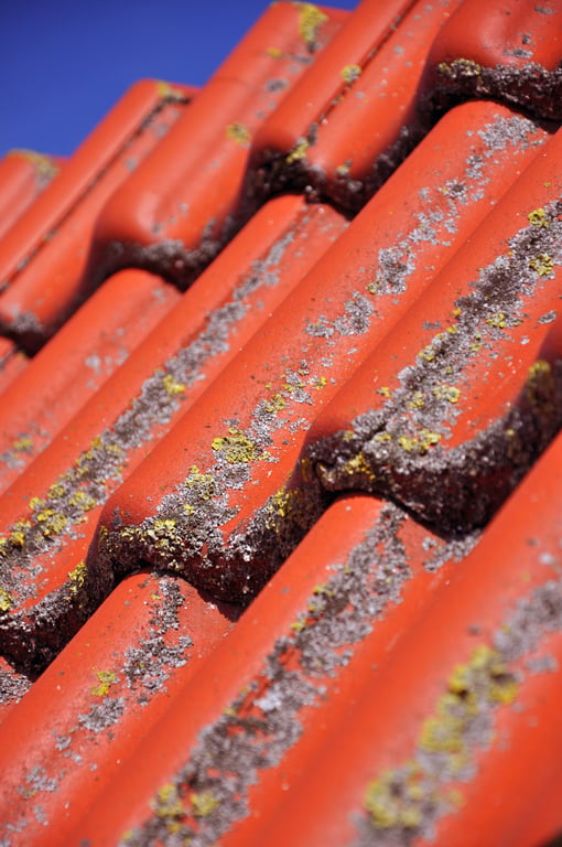 damaged tile roof