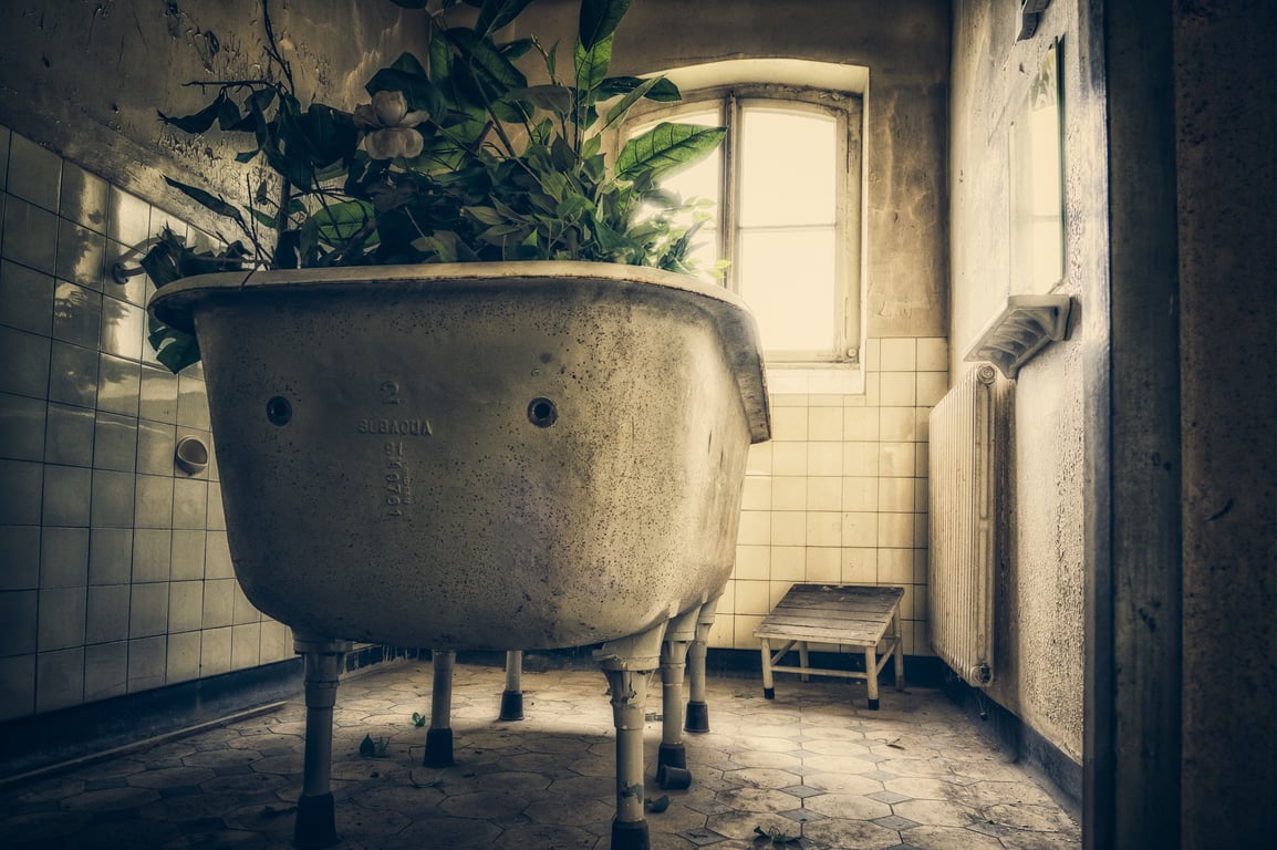 aging in place bathroom remodel